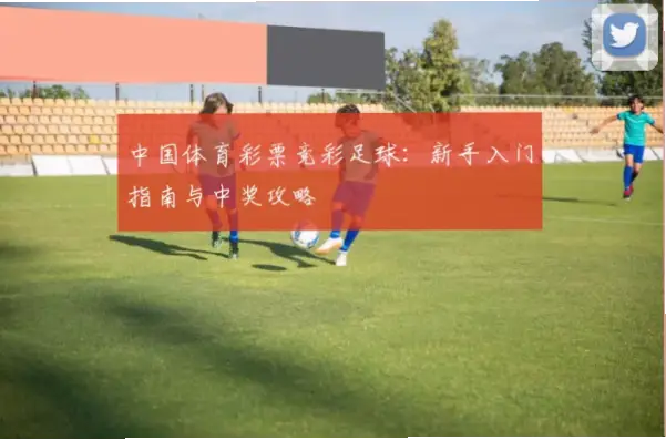 体育彩票购彩规则新手入门指南